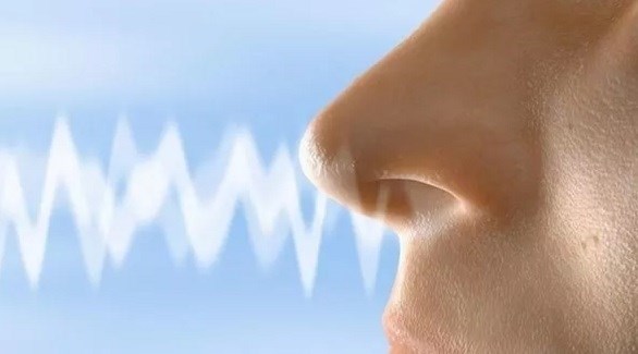 كيف تستعيد حاسة الشم؟