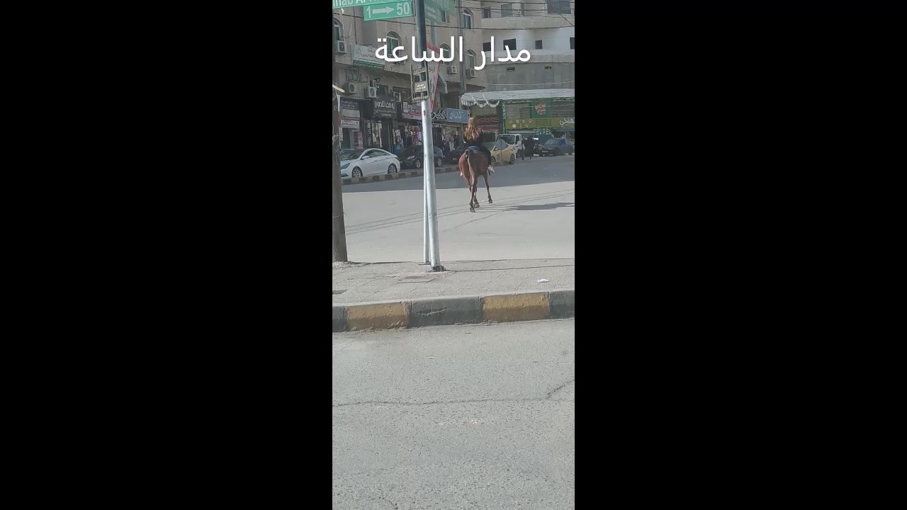 ما سر الفتاة الفارسة التي جابت