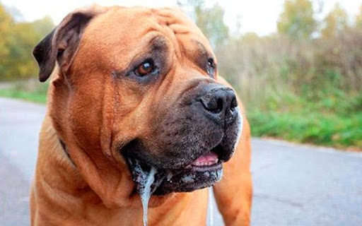 أثناء سيري في الشارع مر بجانبي