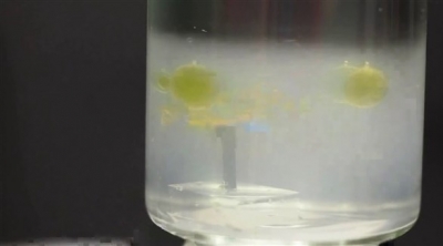 روبوت متناهي الصغر يمكنه إزالة الملوثات