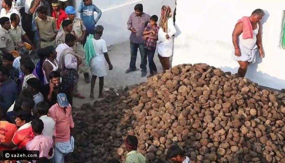 جوريهابا: لماذا يتراشق الهنود بروث البقر؟