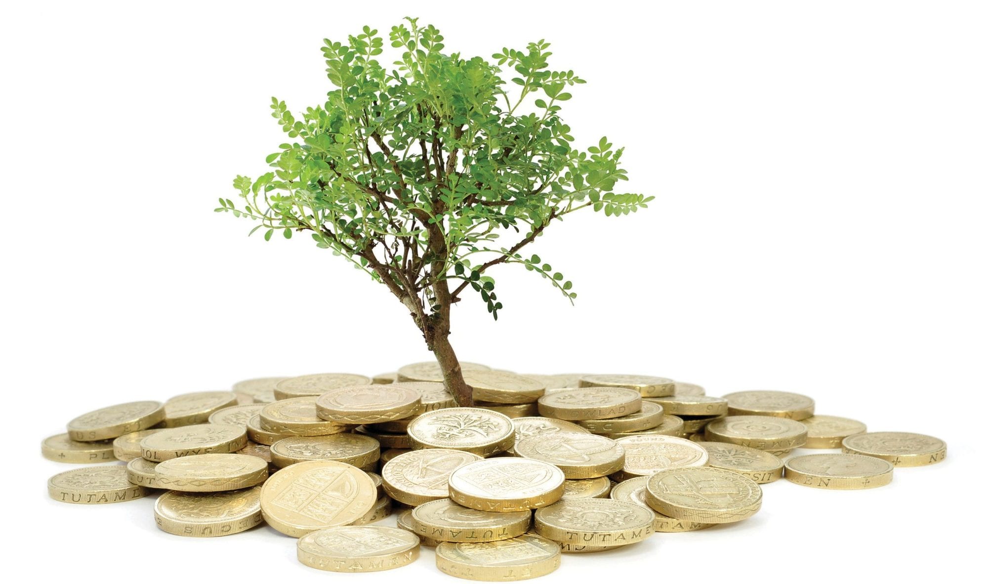 هل فى الراتب الشهرى زكاة؟