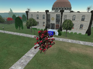 الجهاد في “الحياة الثانية” حكمه ومآلاته