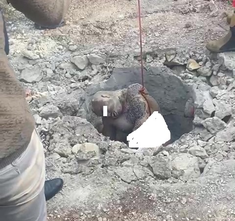 الأمن لـ مدار الساعة: فيديو الغريق