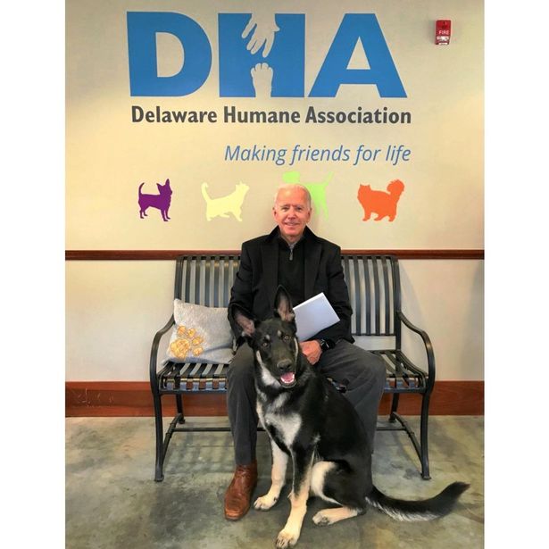 ترامب يتمنى الشفاء العاجل لبايدن