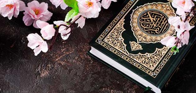 لماذا جاء تعليم القرآن قبل خلق