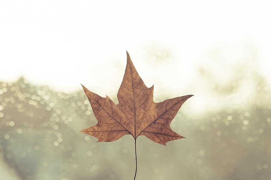 طقس مائل للبرودة مع احتمال ضعيف