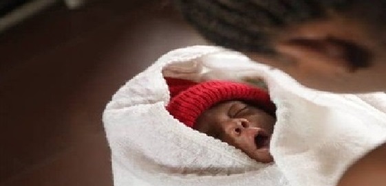 الشرطة النيجيرية تنهي جريمة بشعة في