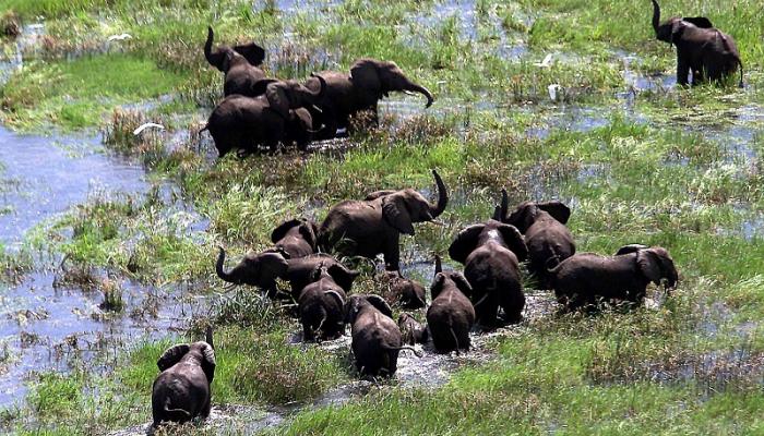 170 فيلا للبيع في مزاد.. تضايق