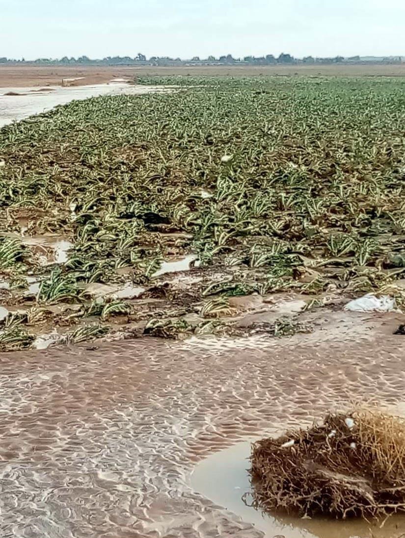 سيول قاع الأزرق.. حلول ترقيعية ومطالبات