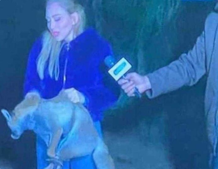 بعد «حلقة الثعلب».. وقف برنامج ريهام