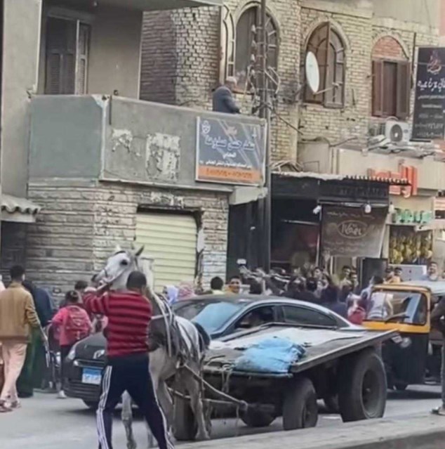 فيديو.. ثري مصري يلقي بأمواله على