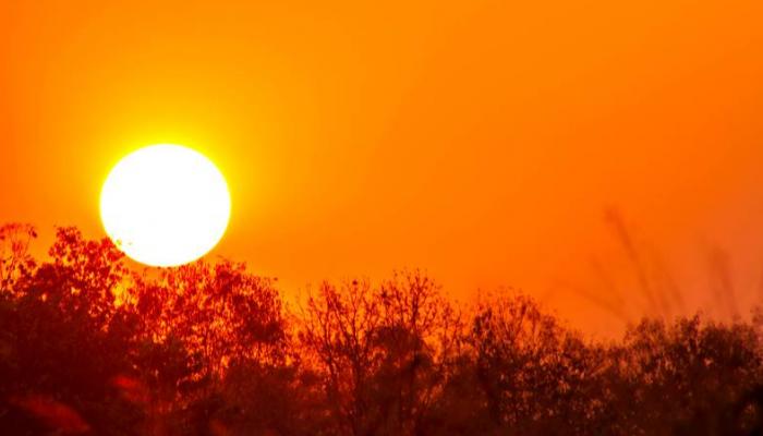 نوفمبر 2020 الأكثر حرا في العالم