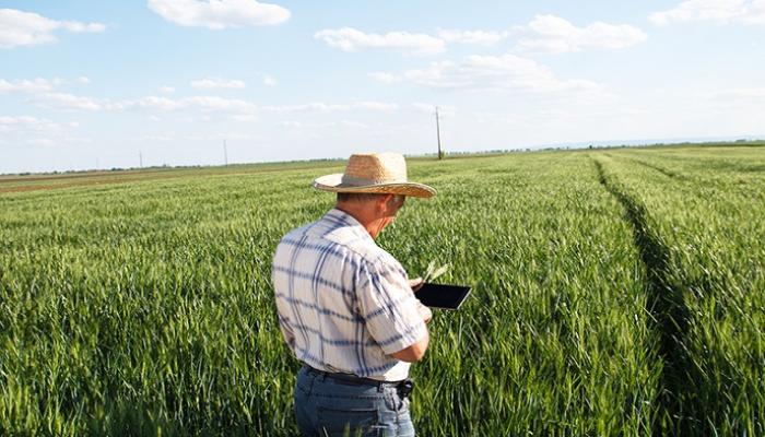 الإنترنت فائق السرعة يغرق الريف الأمريكي