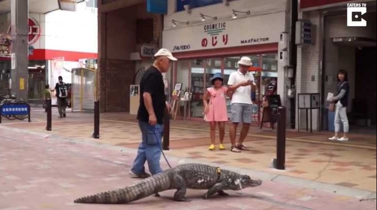 أصبح صديقا أليفا للأطفال.. ياباني يتجول