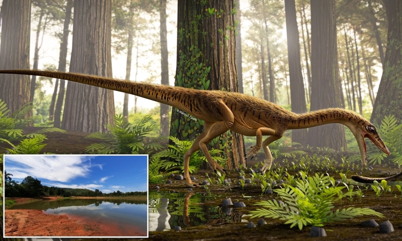 اكتشاف بقايا سلف «تيرنوصور ريكس» في