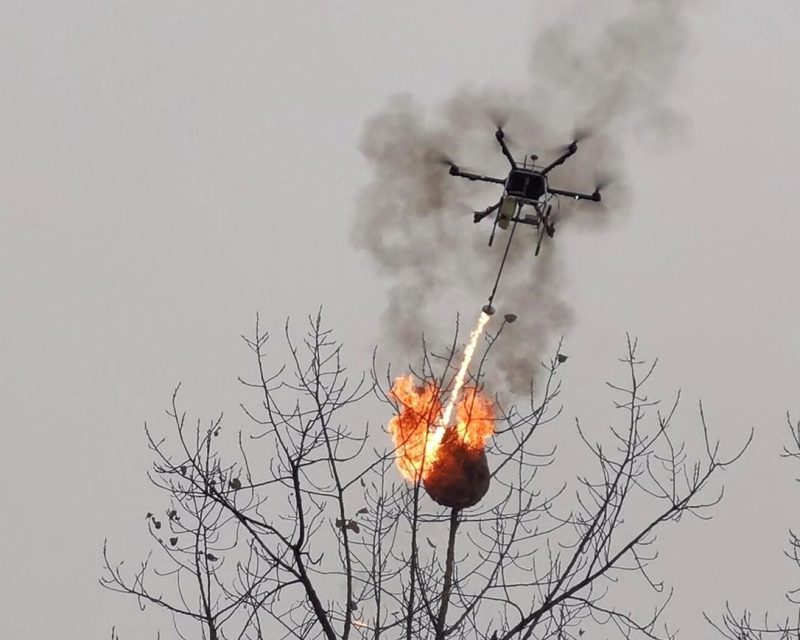 درون تقصف أعشاش الدبابير باللهب