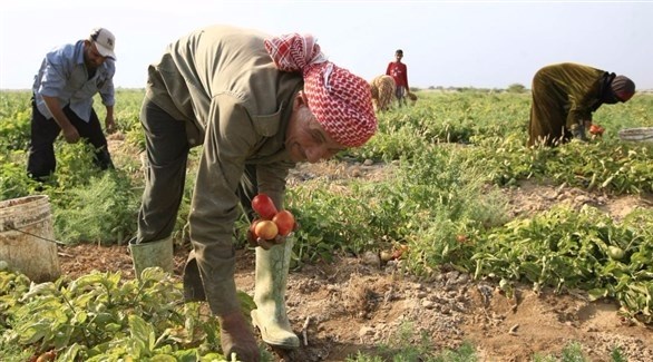 اتحاد مزارعي الأردن: الإمارات أنقذتنا برفع