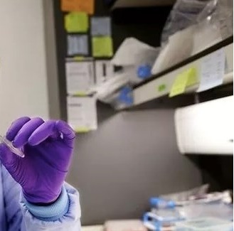 متغيرات جينية تساعد العلماء على تحديد