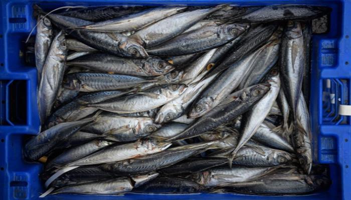 وكالة سفريات تبتكر طريقة لصيد الزبائن