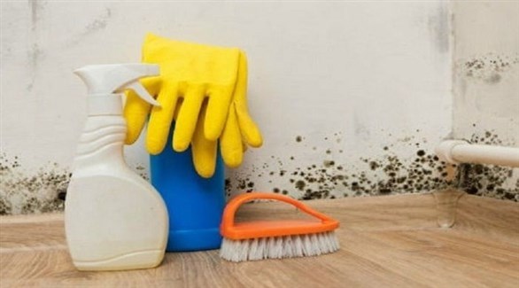 الرطوبة في المنزل تزيد مخاطر التقاط