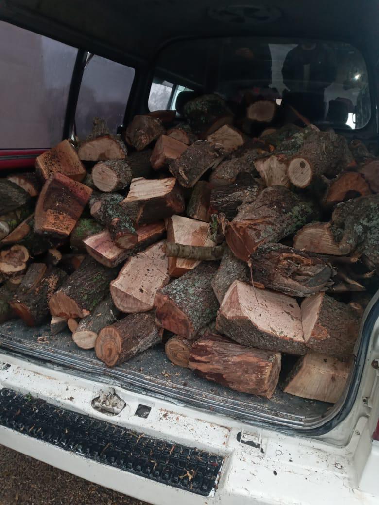 القبض على اربعة اشخاص قاموا بالتحطيب