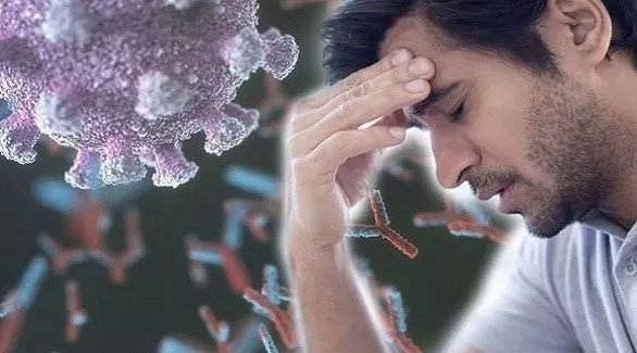 كثرة الأجسام المضادة تؤدي إلى استمرار