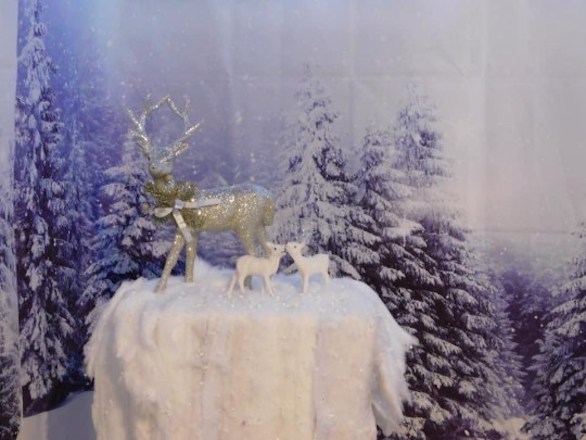 تبني مدينة عجائب شتوية لابنتها المريضة