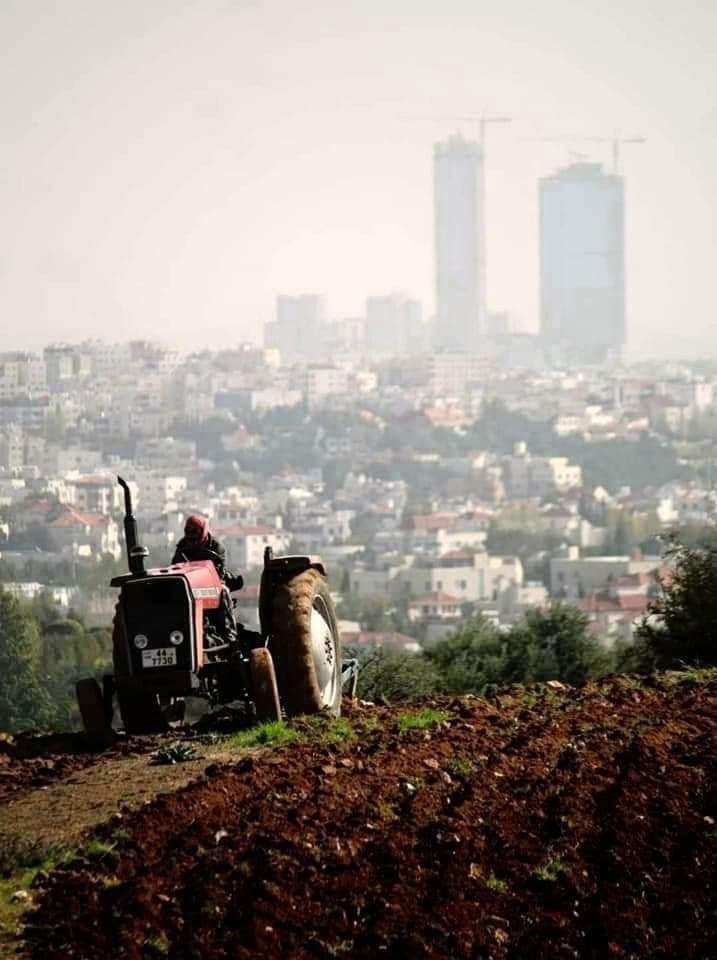 الزيود يكتب: عمار يا عمان