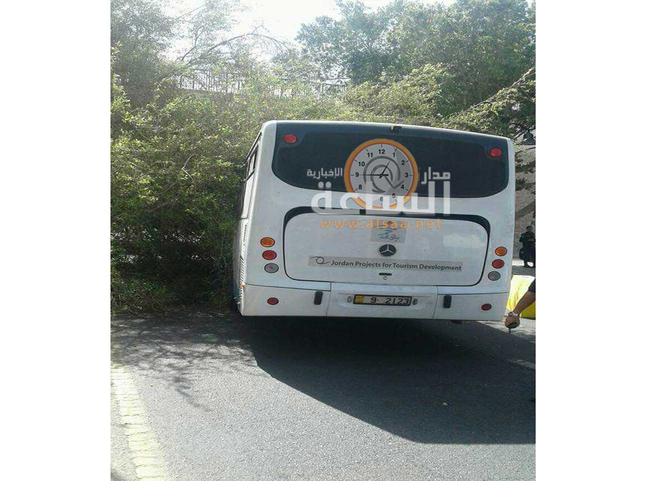 شجرة ضخمة تسقط على حافلة سياحية