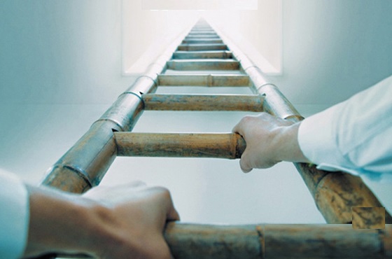 العودة إلى التربية القرآنية .. الجدية