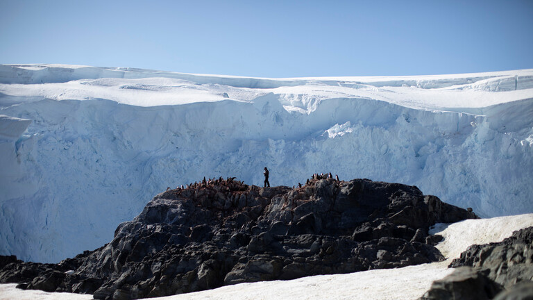 كورونا يصل إلى القارة الأخيرة