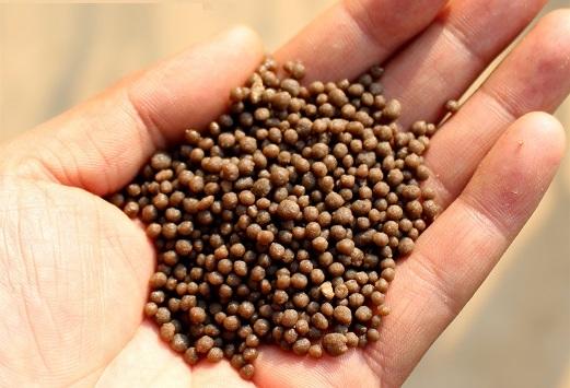 الأردن يصدّر 70 ألف طن سماد