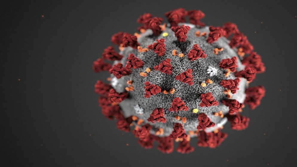 وزارة الصحة: لا نستطيع تأكيد وصول