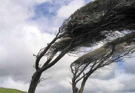 الأرصاد: رياح شرقية باردة وجافة اعتبارا