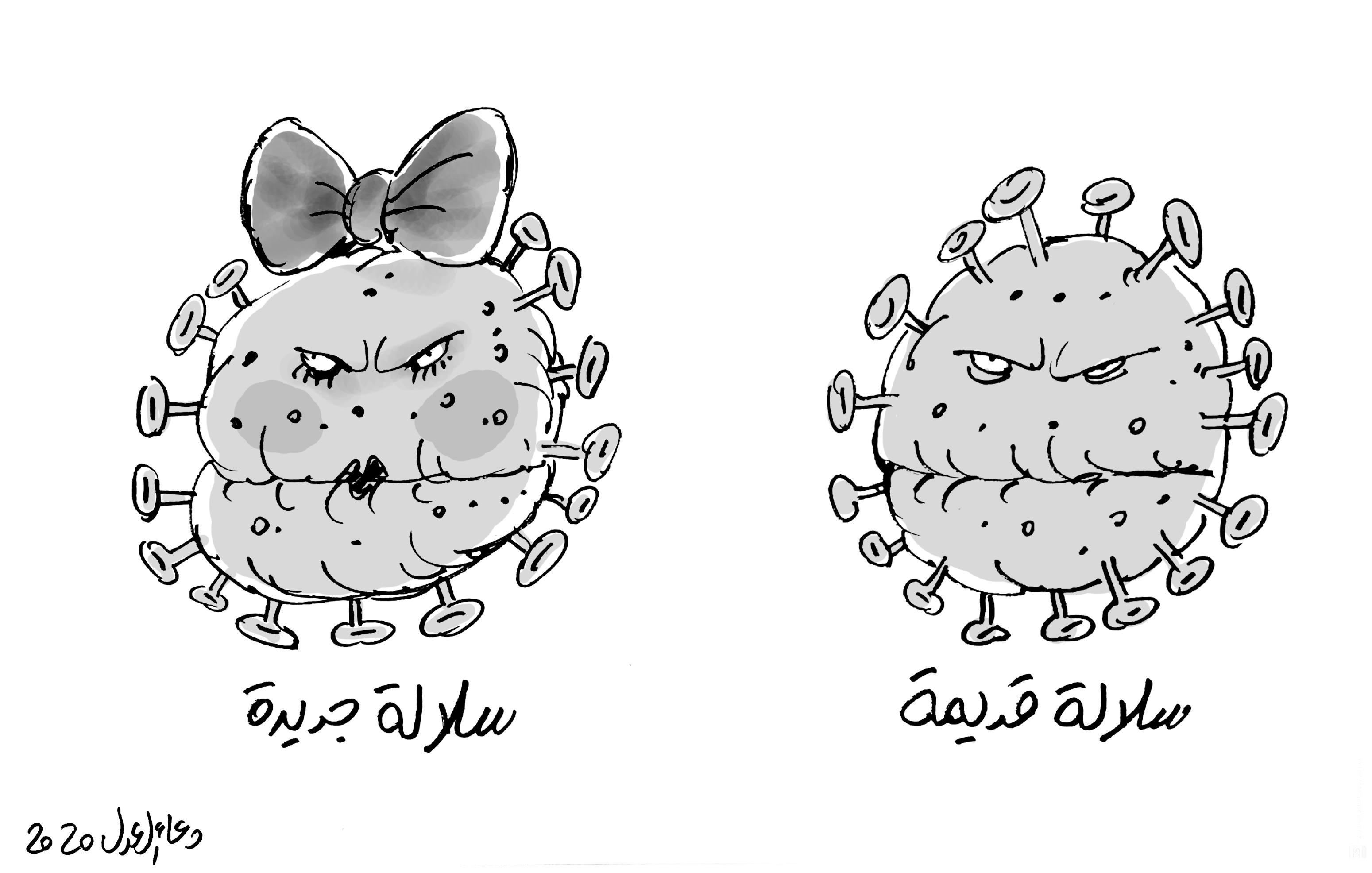 ببين سلالتين