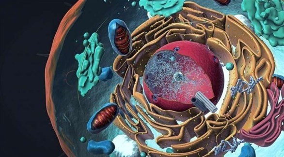 تقنية جديدة لقياس الجهد الكهربائي داخل