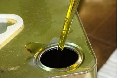 الكرك: تراجع أسعار زيت الزيتون وسط