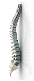 حالة نادرة تسبب كسرا في عمودها