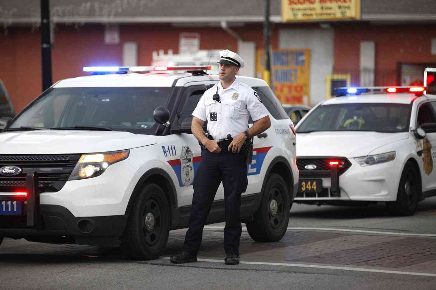 المواطنون من أصول افريقية فرائس مجانية