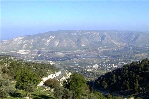 نائب سابق يبيع قطع أراض مملوكة