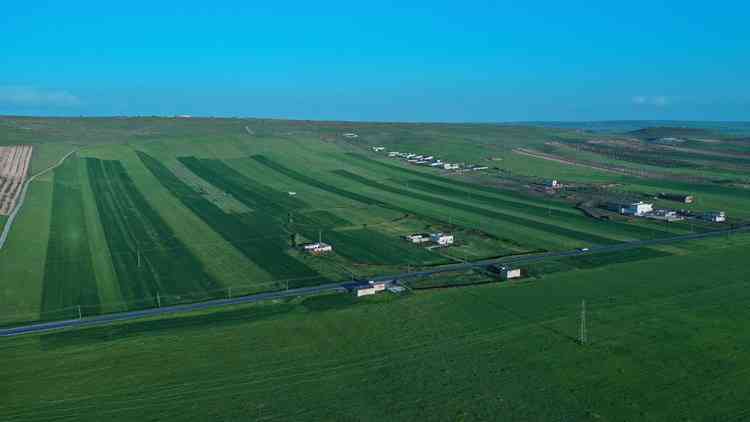 مزادات علنية في شمال سوريا تنقل