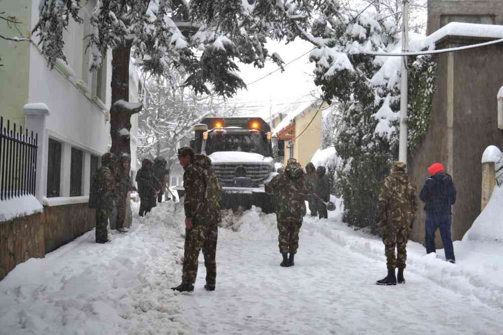 عائلات جزائرية عالقة بسبب الثلوج.. والجيش