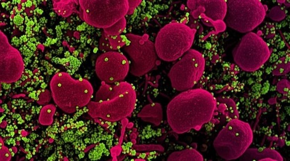 عقار لعلاج السرطان يساعد للشفاء من