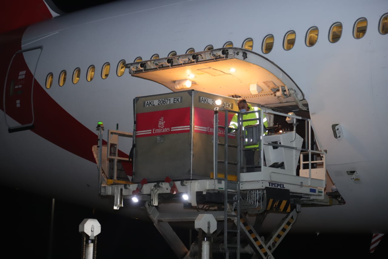 وصول الدفعة الأولى من مطعوم سينوفارم