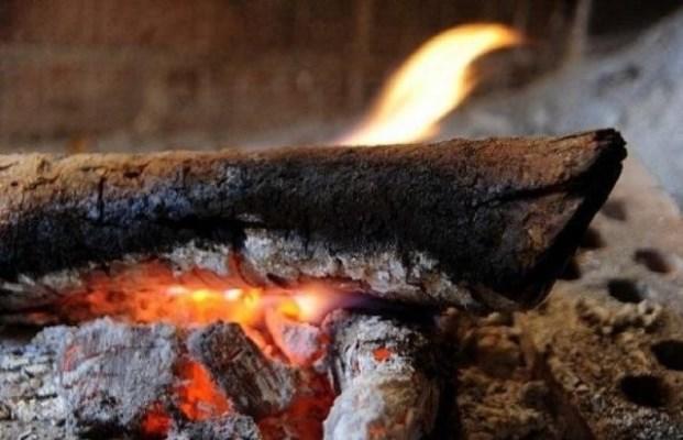 انخفاض الاعتداءات على غابات عجلون