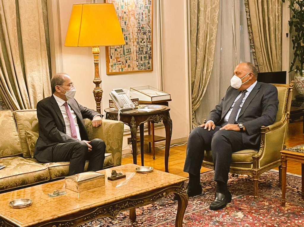 الصفدي يلتقي شكري