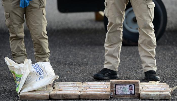 كورونا يصيب غوريلتين بحديقة حيوان أمريكية..