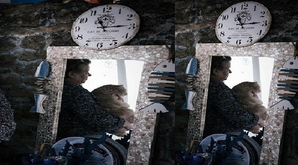 تمضي 3 سنوات في محاولة إثبات