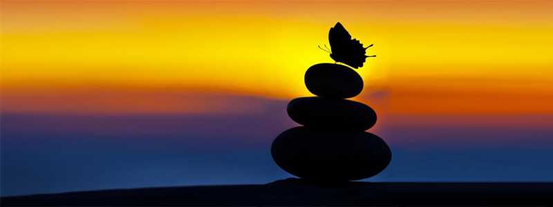 مؤشرات السعادة في السنة النبوية